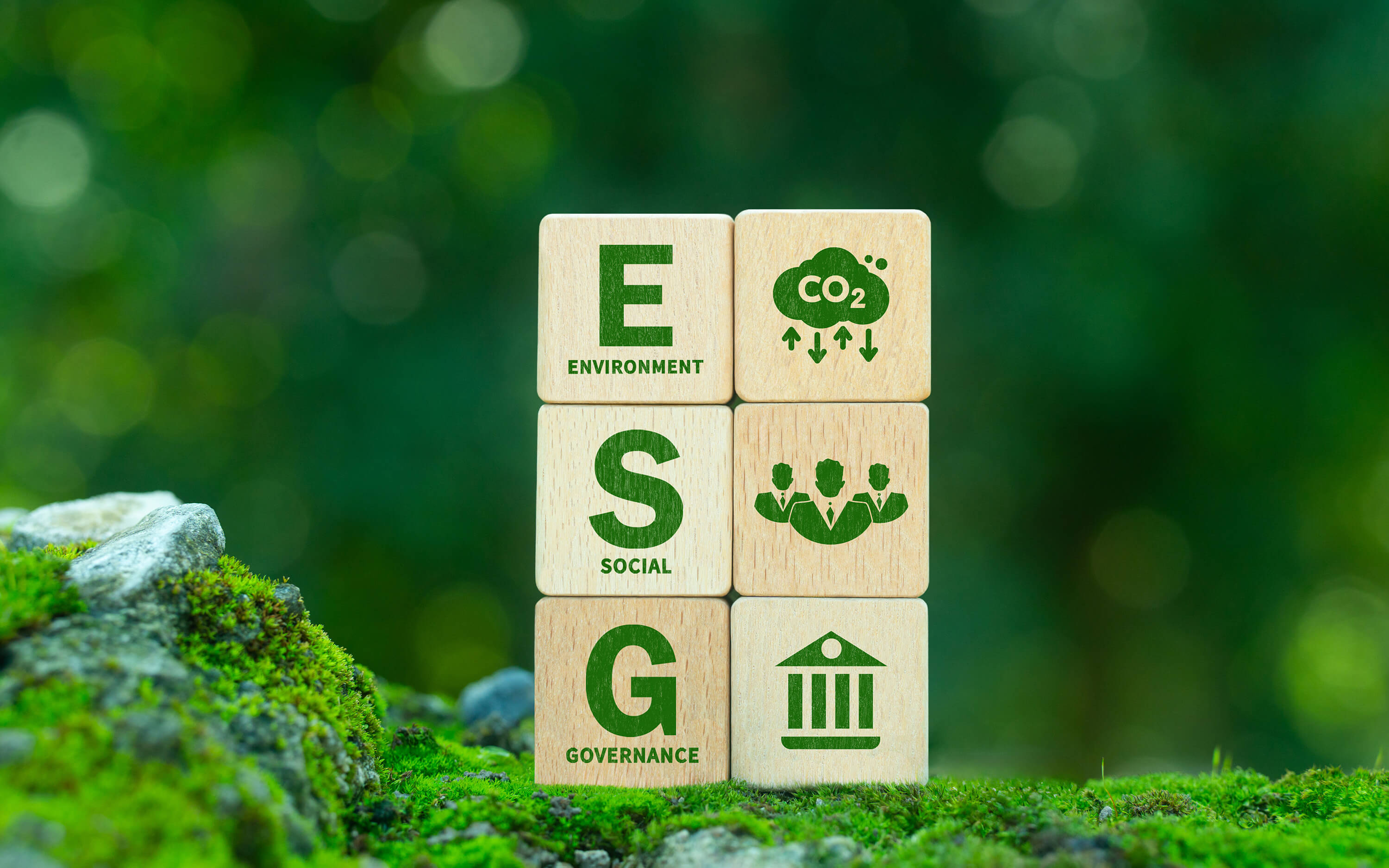 ESG Würfel in grüner Natur