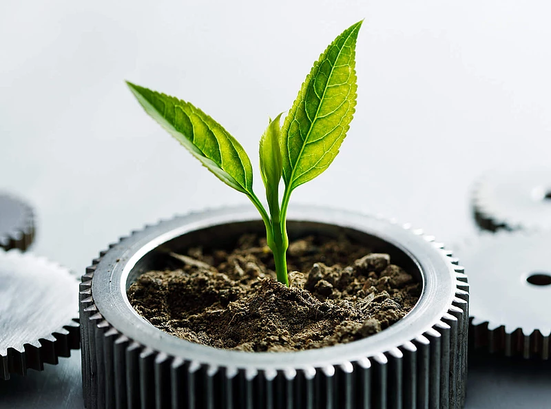 Grüne Pflanze wächst aus Erde in einem Zahnrad