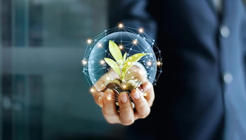 Person in Anzug hält eine wachsende Pflanze mit Schutzsymbol